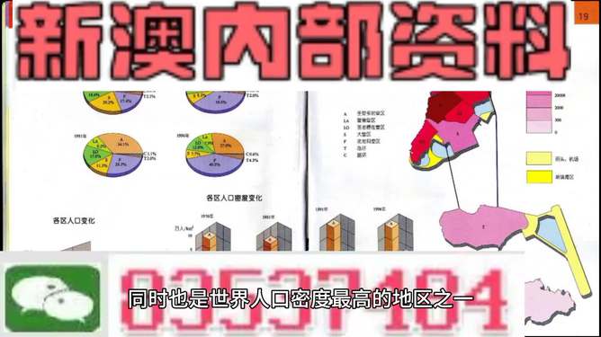 新澳门正版免费资料怎么查|最佳解释解析落实