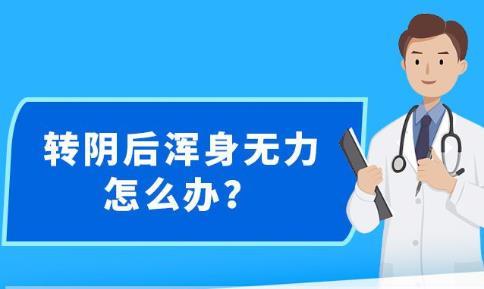 新澳精准资料免费提供网|最佳解释解析落实