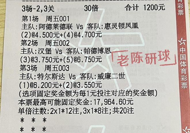 2024澳门特马今晚开奖138期|最佳解释解析落实