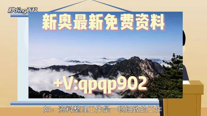 2O24新奥正版资料免费提供|最佳解释解析落实