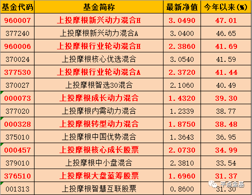 新奥门天天开奖资料大全|最佳解释解析落实