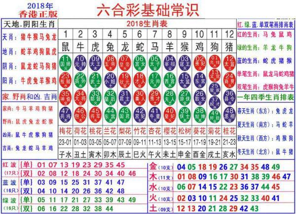 澳门正版资料大全资料生肖卡|最佳解释解析落实