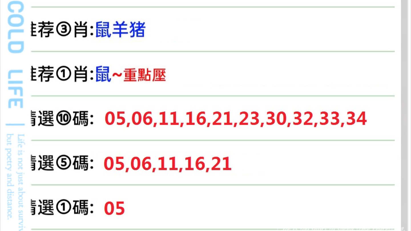 新澳门今晚开特马开奖结果124期|最佳解释解析落实