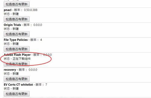 谷歌浏览器flash不是最新版本
