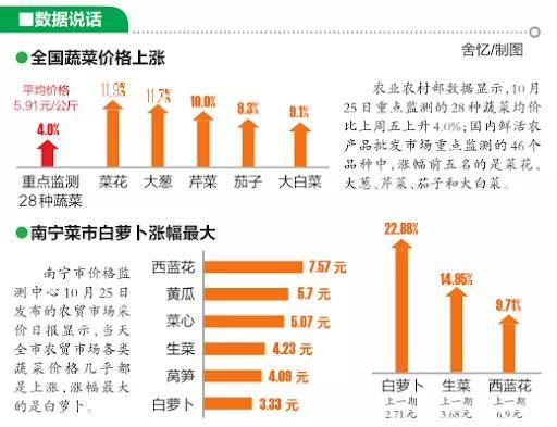 今日菜柏最新价格行情分析