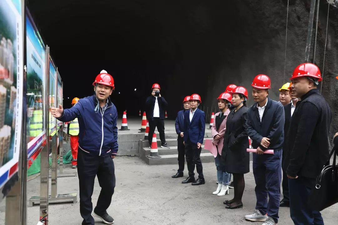 临平山北最新政策，推动区域可持续发展的关键举措