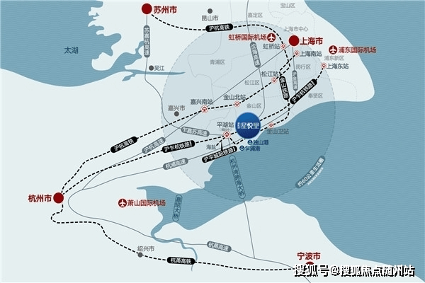 最新台鸽网一口价专区深度解析