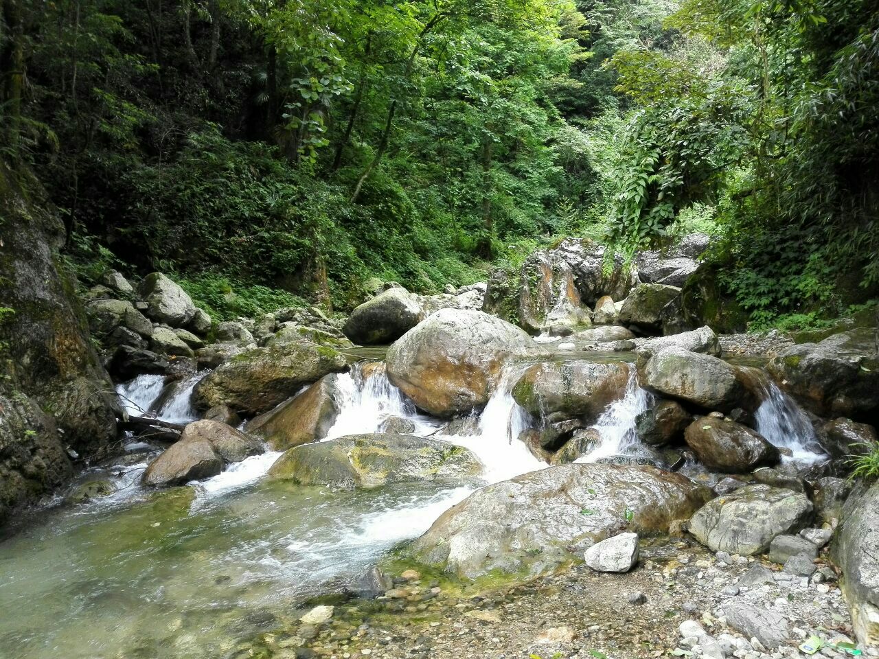 九龙沟风景区最新消息