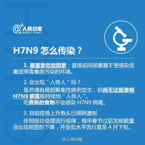 H1N9禽流感最新消息，全球防控进展与应对策略