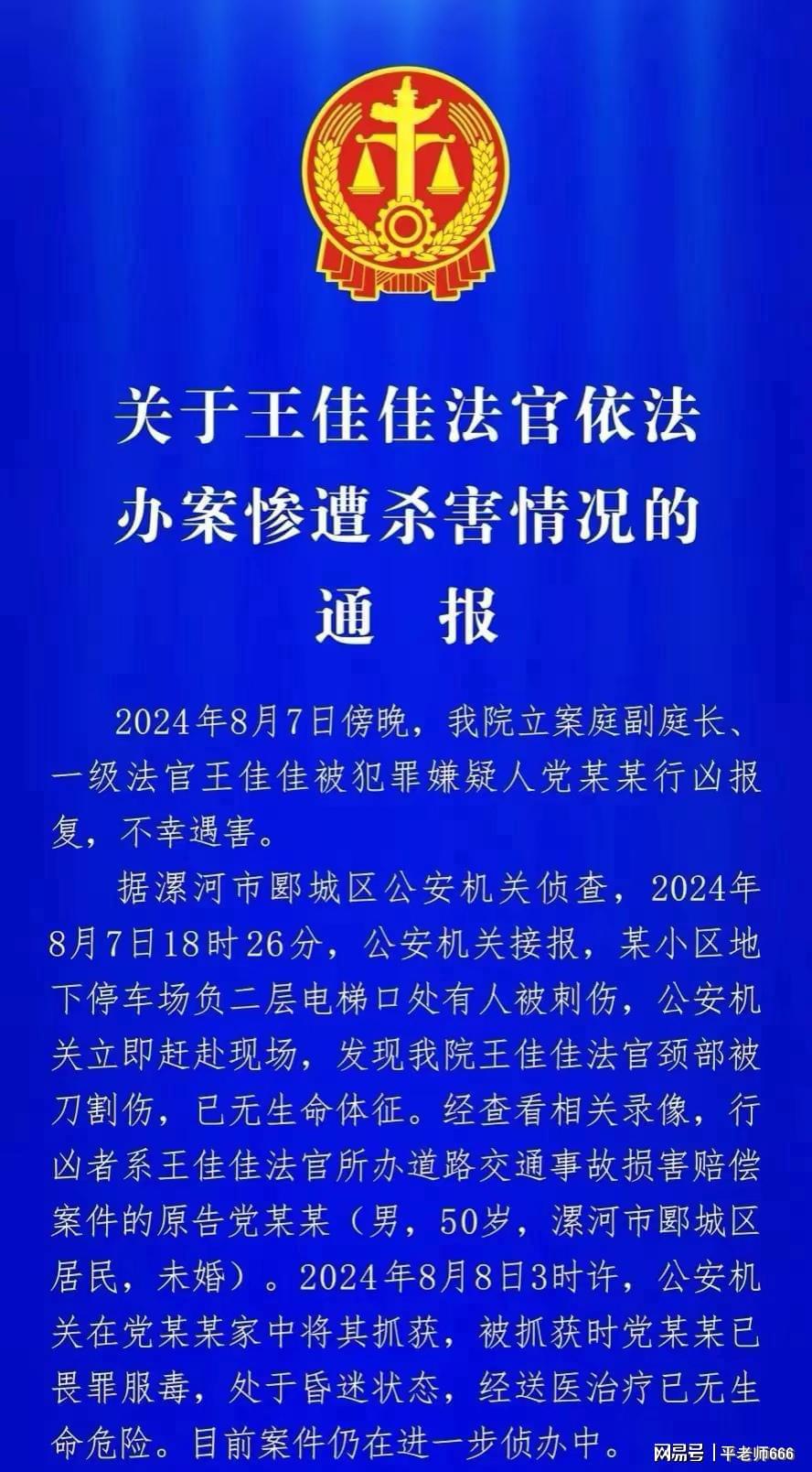 漯河杀人犯最新消息，案件进展与社会反思