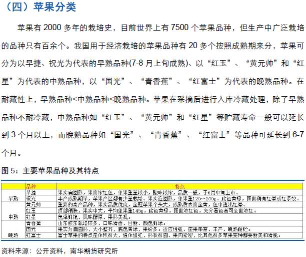 新澳正版资料与内部资料的解析与落实，最佳解释指南