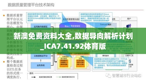 新澳正版资料与内部资料的解析与落实，最佳解释指南