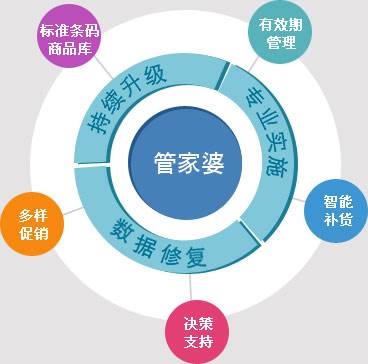 精准管家婆，深入理解与有效落实的全方位解析