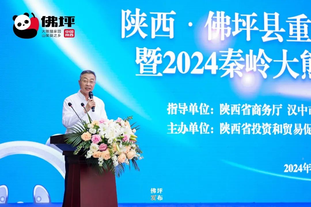 关于澳门博彩业的新动态，2024新澳门精准免费大全的解析与落实挑战