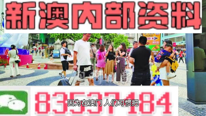 新澳正版资料最新更新与解析落实的探讨