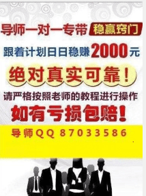 新澳门天天彩期期精准背后的犯罪问题及最佳解析解析落实措施