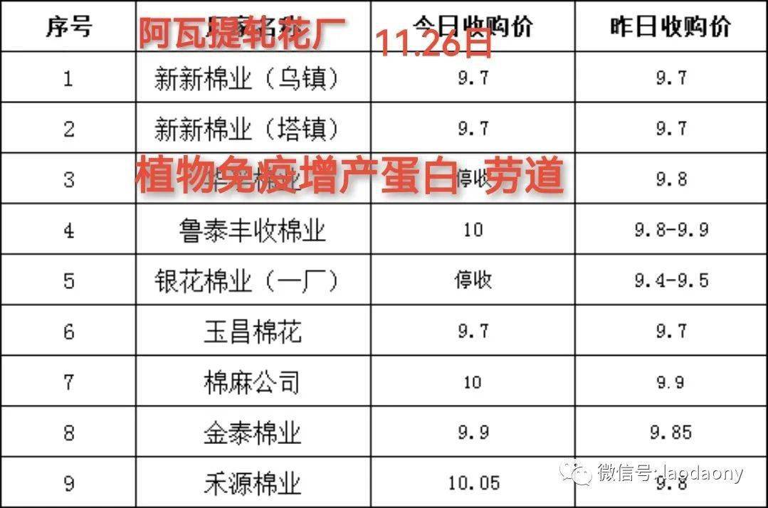 黄岛辛安最新招聘信息概览