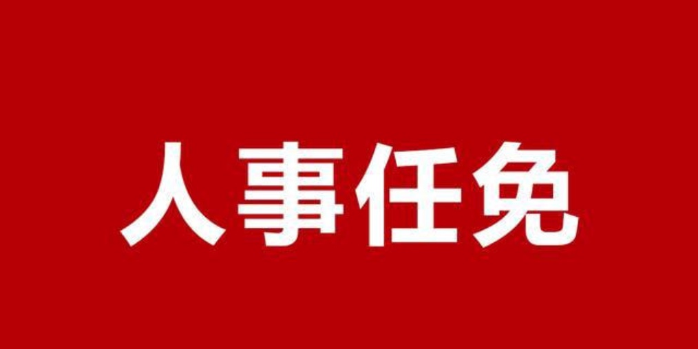 保定市最新任免通知