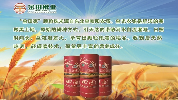 龙田金秋最新价格表详解