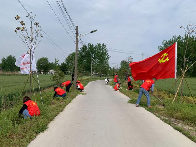 环保督查聊城最新消息，持续推动环境治理，共建绿色美好家园