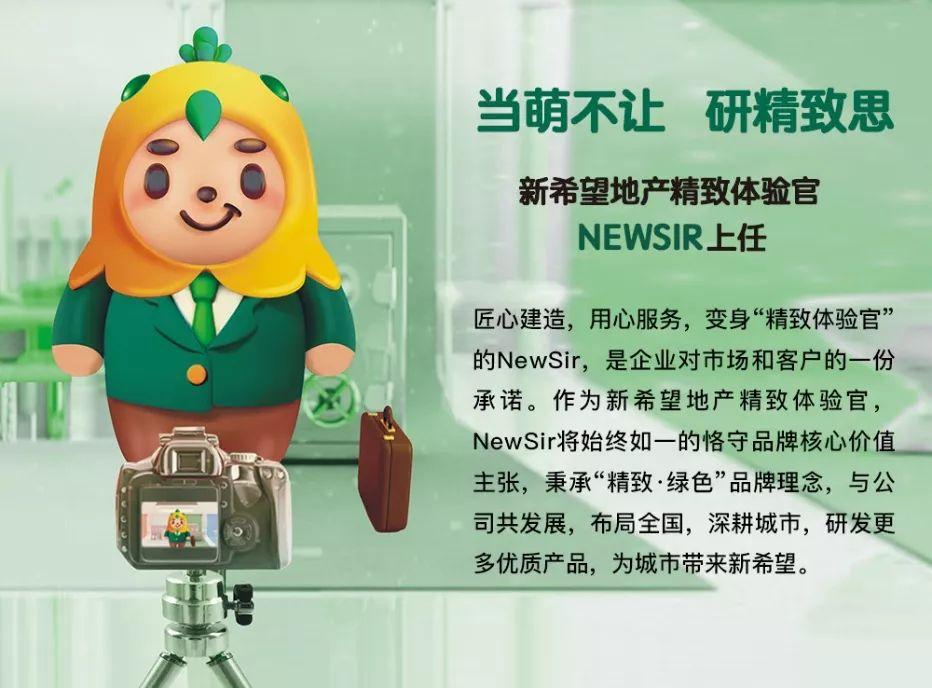 泰星New最新电视剧，璀璨星光下的故事演绎