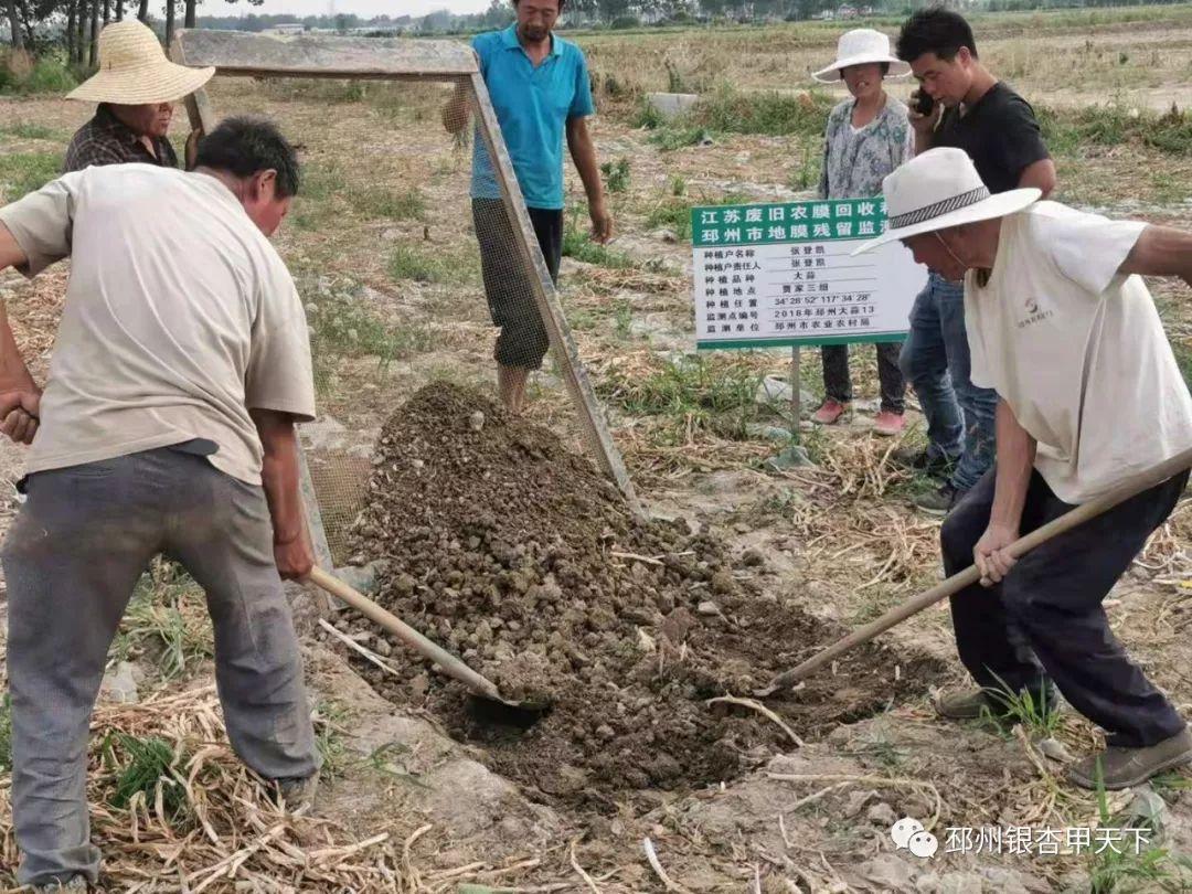 邳州议堂工厂最新招聘——开启职业新篇章