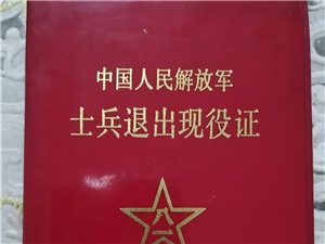 沛县箱货司机最新招聘启事