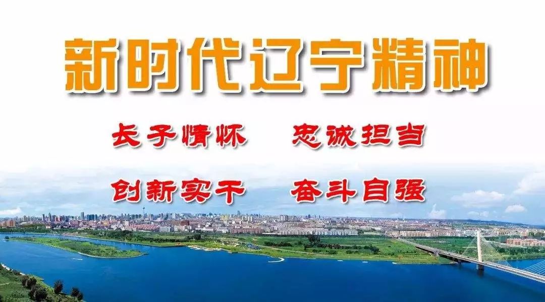 杨浦区最新干部公示——推动区域发展的坚实力量