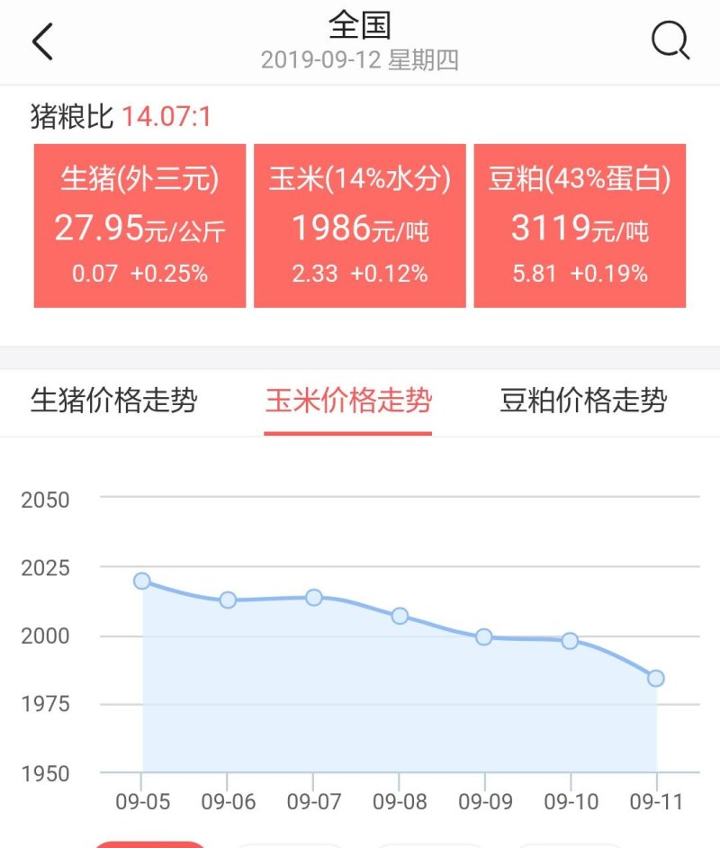 宁晋玉锋今日玉米最新价格动态分析