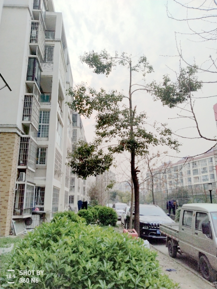 泗阳隆升嘉苑最新图片展示