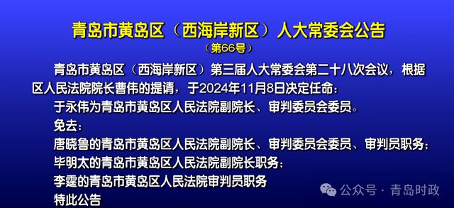 青岛人事任免最新消息全面解读