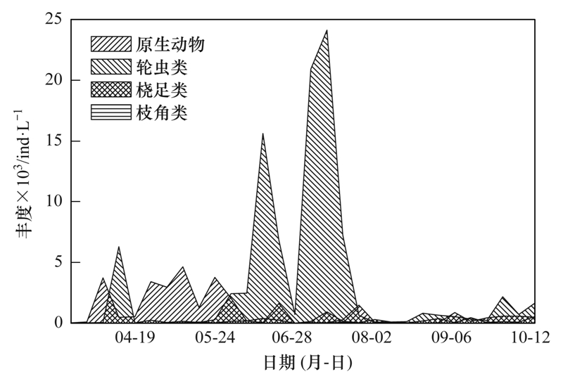 西乡伟创力最新招聘动态及其影响