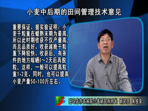 王鸣野村乡情最新章节——探寻乡村魅力与变迁