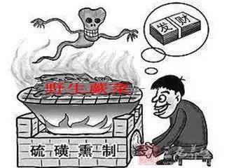 金秀县检察院最新案情分析