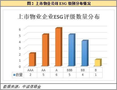 中现集团最新消息全面解析