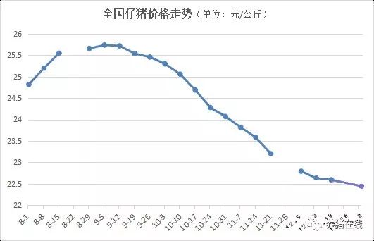 小猪价格今日最新消息，市场动态及影响因素分析