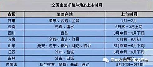 云南洋葱最新价格行情分析