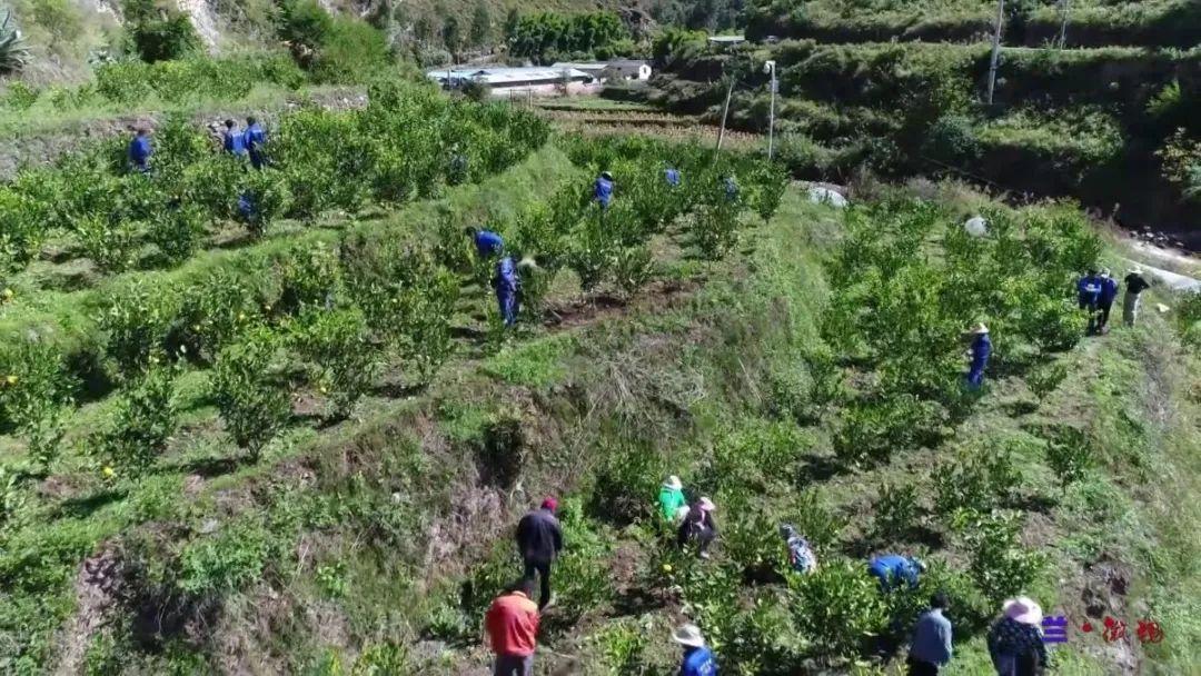 兰坪县组织部最新公告，推动地方人才建设的新篇章