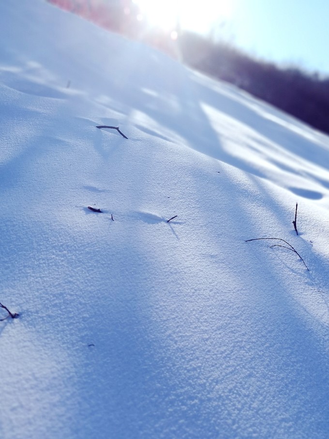 承德大黑山滑雪场最新动态与体验报告