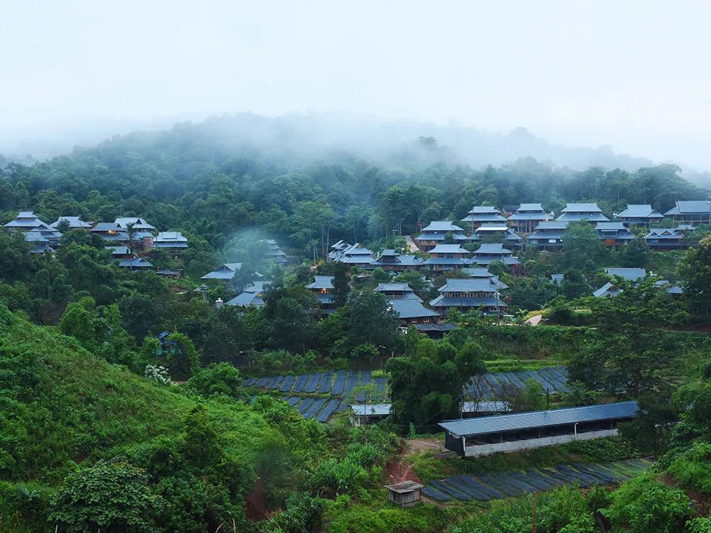 勐腊县最新地图，揭示边疆之地的魅力与变迁