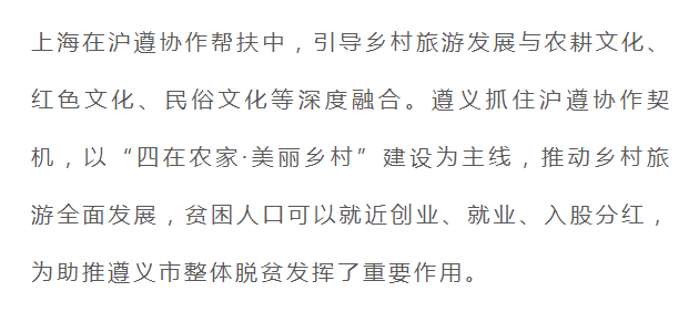 秦岚与苏有朋的最新消息，再度携手，共谱新篇章