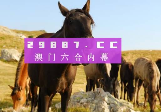 新澳门管家婆一肖一码一中特精选资料解析大全