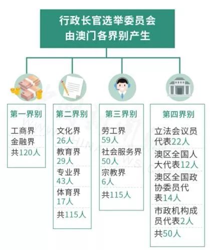 新澳门免费资料大全在线查看与精选资料解析大全，探索与解析的旅程