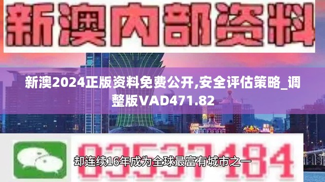 2024新奥精选免费资料解析大全