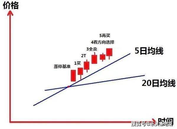 管家婆期期精准大全与精选资料解析大全，掌握关键，赢在起跑线