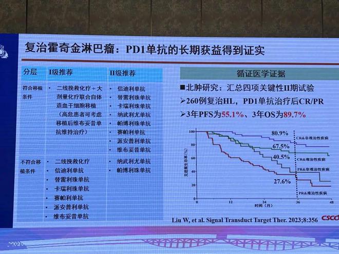 新澳门资料大全正版资料解析与精选资料下载指南（2024年免费版）