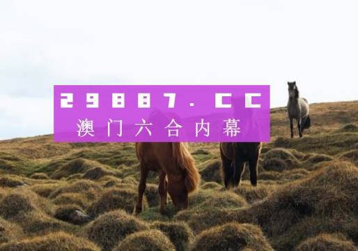 最准一肖一码一一香港澳王一王精选资料解析大全