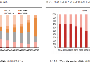 新澳精准资料下载与解析大全——精选资料助力成功备战2024年考试