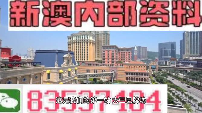 2024新澳门精准正版免费资料第510期精选资料解析大全