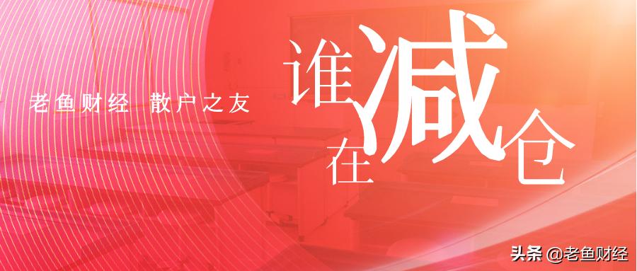 牛市未来暴涨1000倍精选资料解析大全